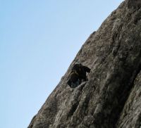 Klik za večjo sliko