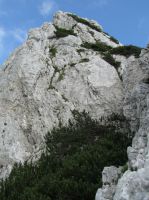 Klik za večjo sliko