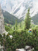 Klik za večjo sliko