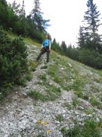 Klik za večjo sliko