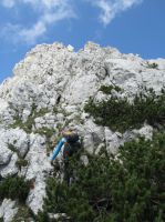 Klik za večjo sliko