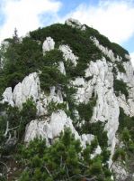 Klik za večjo sliko