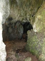 Klik za večjo sliko