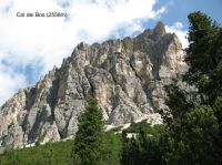 Klik za večjo sliko