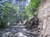 Klik za večjo sliko