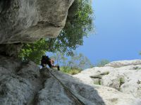 Klik za večjo sliko