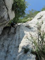 Klik za večjo sliko