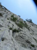 Klik za večjo sliko