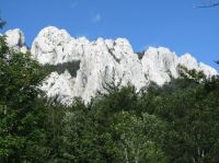 Klik za večjo sliko