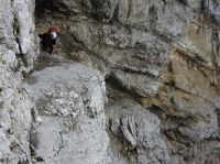 Klik za večjo sliko