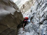 Klik za večjo sliko