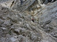 Klik za večjo sliko