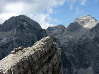 Klik za večjo sliko