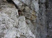 Klik za večjo sliko