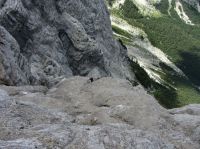 Klik za večjo sliko