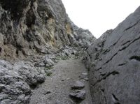 Klik za večjo sliko