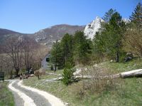 Klik za večjo sliko