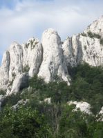 Klik za večjo sliko