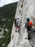 Klik za večjo sliko