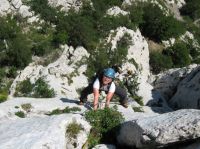 Klik za večjo sliko