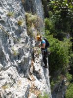 Klik za večjo sliko