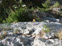 Klik za večjo sliko