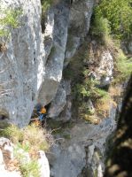 Klik za večjo sliko