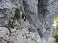 Klik za večjo sliko