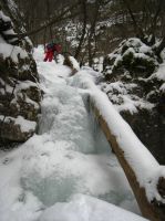 Klik za večjo sliko