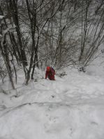 Klik za večjo sliko