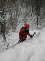 Klik za večjo sliko