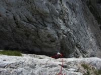 Klik za večjo sliko