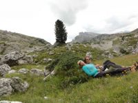 Klik za večjo sliko