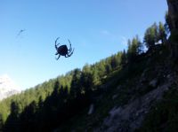 Klik za večjo sliko