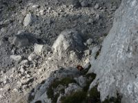 Klik za večjo sliko