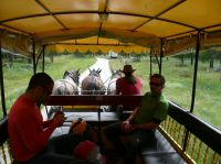 Klik za večjo sliko