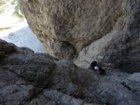 Klik za večjo sliko