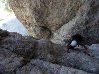 Klik za večjo sliko