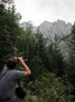 Klik za večjo sliko