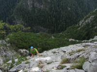 Klik za večjo sliko