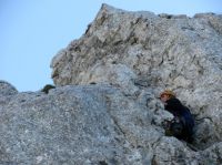 Klik za večjo sliko