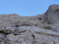 Klik za večjo sliko