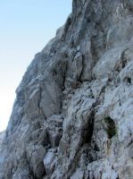 Klik za večjo sliko