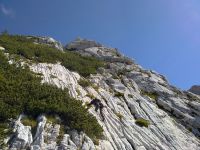 Klik za večjo sliko