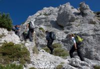 Klik za večjo sliko