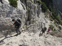 Klik za večjo sliko