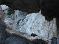 Klik za večjo sliko