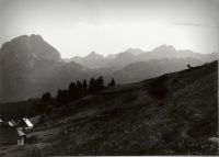 Klik za večjo sliko