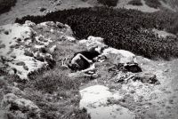 Klik za večjo sliko