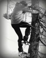 Klik za večjo sliko